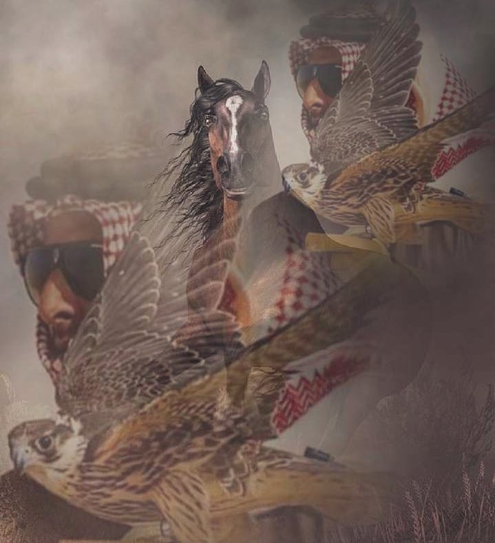انت شي من الحقيقه وضرب من الخيال
صفوة التالين واخر بقايا ………… الاولين

<a href="/DrHanef/">صعب المنال ...!</a> 
<a href="/Dr_hanef/">صعب المنال ...!</a> 
#مجرد_ذوق 
#رسالة_اليوم 
#رسالة_لقلبك 
#رسالة_قصيرة 
#صعب_المنال 
#جنوني_تعدى_الخيال