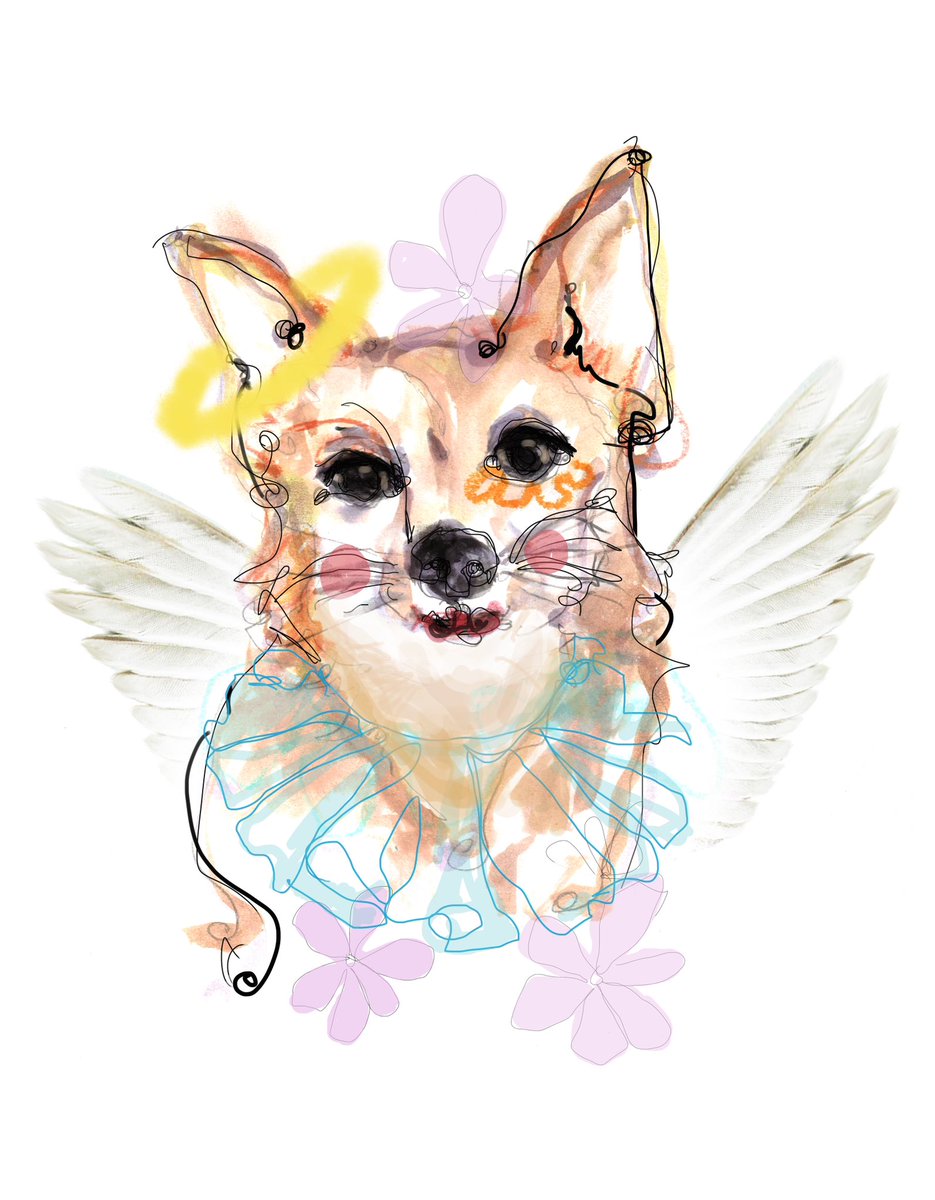 Woof 💕🐾💕
07/14/2023

Zorra loved you all very much 🐾