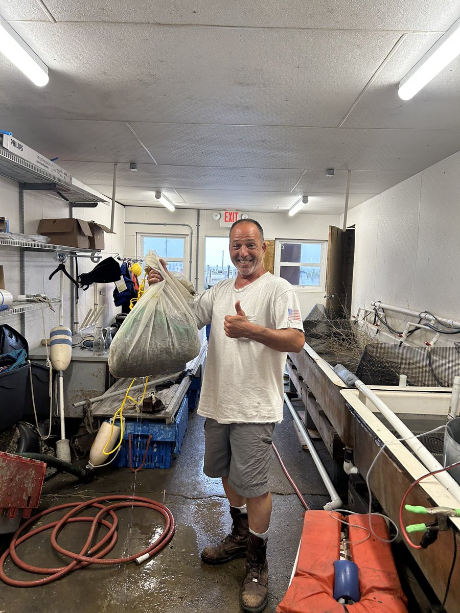RVasiluth's tweet photo. I went out today with two volunteers and grabbed some #Eelgrass seeds!
#SaveEnvironmental https://t.co/3iCrz6UQLy