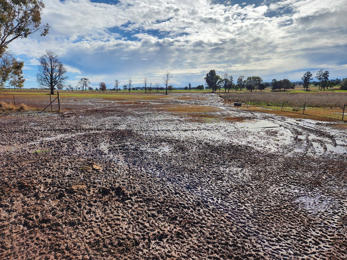 chapple_craig's tweet photo. Another 5mm overnight. Little bit of moisture around. https://t.co/7o7Mk45iVi