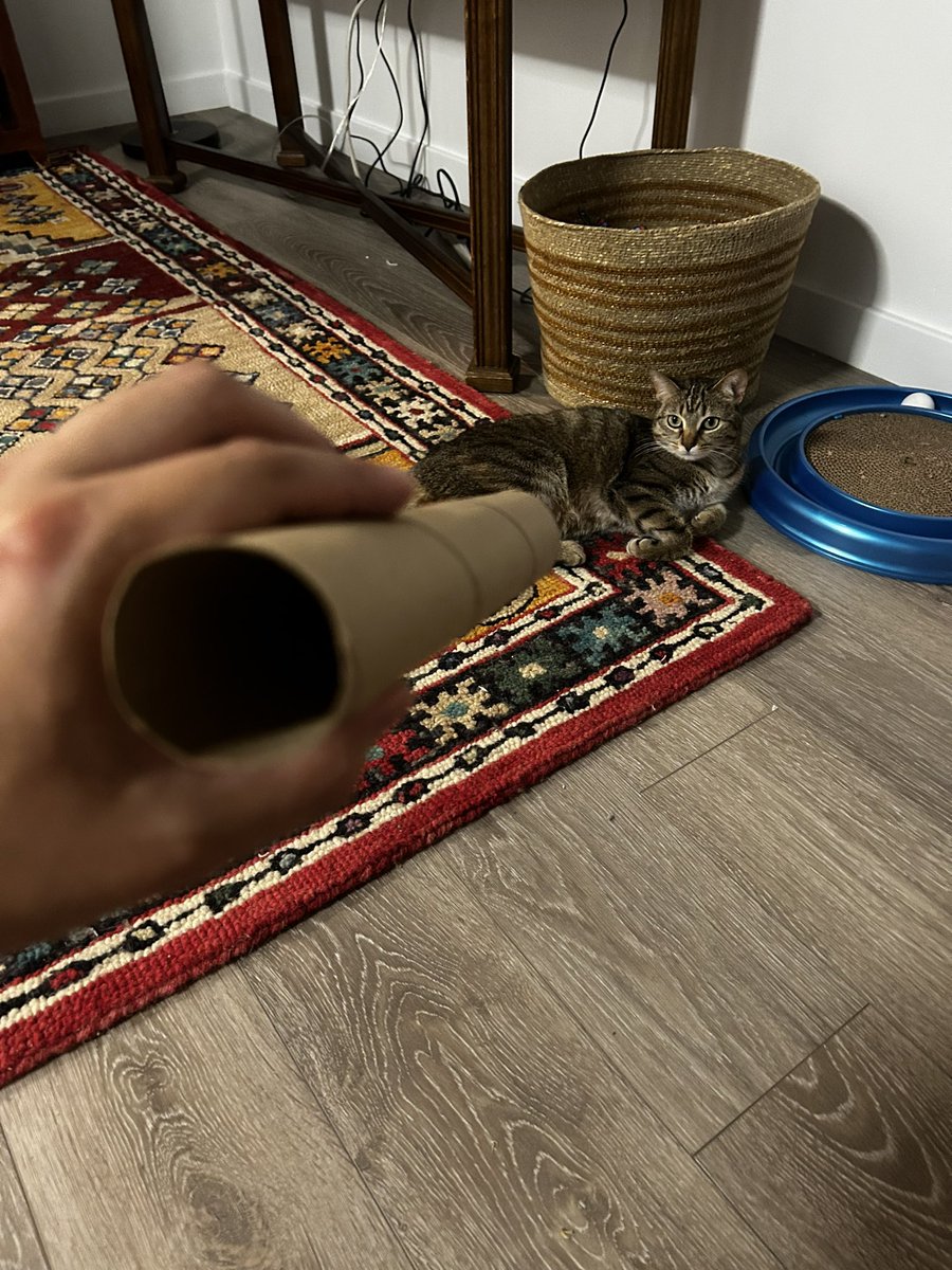 jared_bardar_'s tweet photo. The Setup:                             The Shot: https://t.co/aHP30h339x