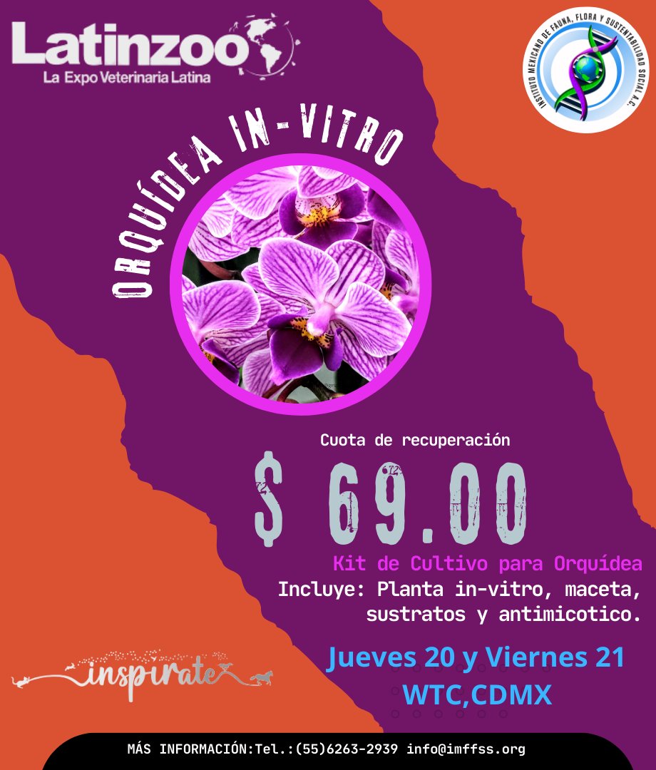 imffss_oficial's tweet photo. Promoción especial para los asistentes a LatinZoo WTC México 20-21 de Julio 2023
#LantinZoo #WTC #orquídeas #IMFFSS https://t.co/4MvRZ4ShG2