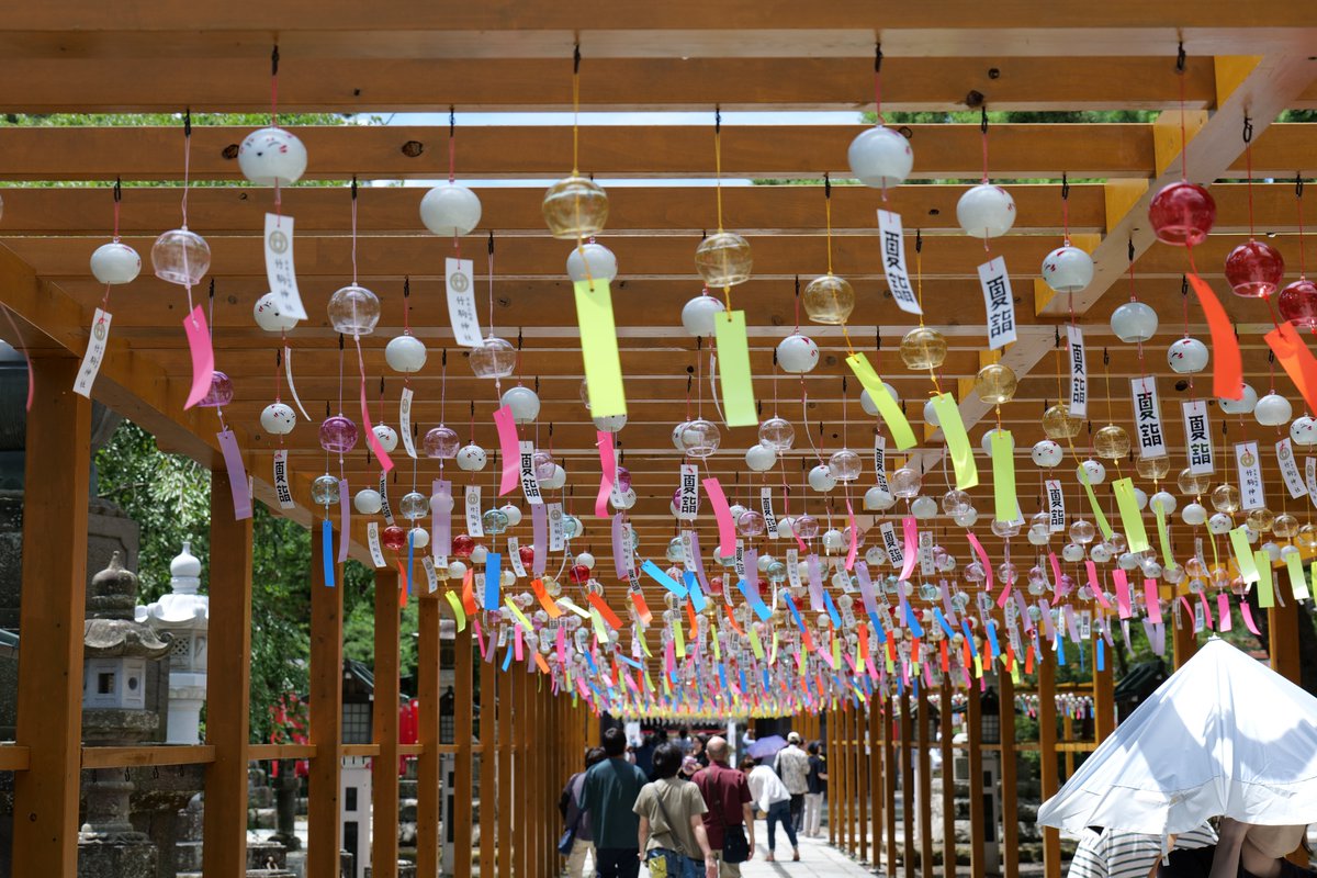 NG_005's tweet photo. 竹駒神社の夏詣

#夏詣
#竹駒神社 
#岩沼市
#風鈴 
#カメラ好きな人と繋がりたい 
#PanasonicLumix 
#デジカメ
#風車 https://t.co/ffLCtQeyfB