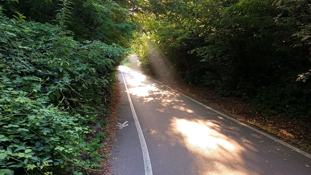 luigifoschini's tweet photo. 🏃‍♂️ #runningtime #iocorroqui #StormHour #RunItaly https://t.co/Dcv9uPntj0