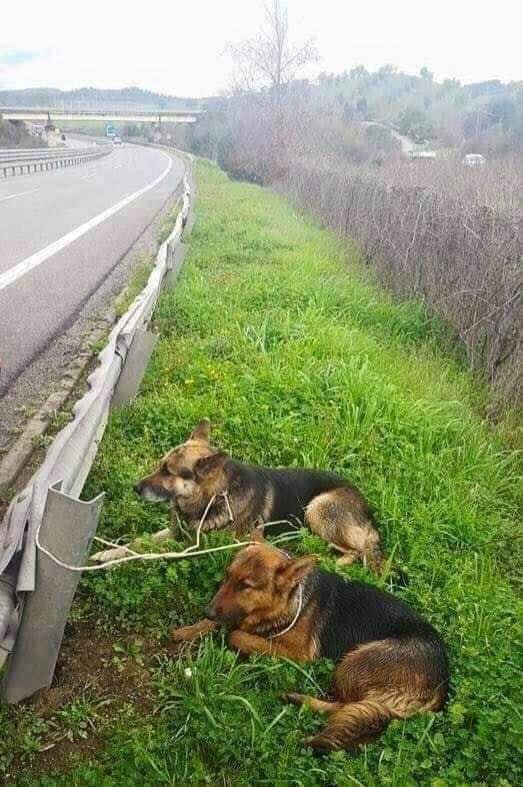 Il n'y a pas de péché plus honteux que de tromper celui qui croit en toi.