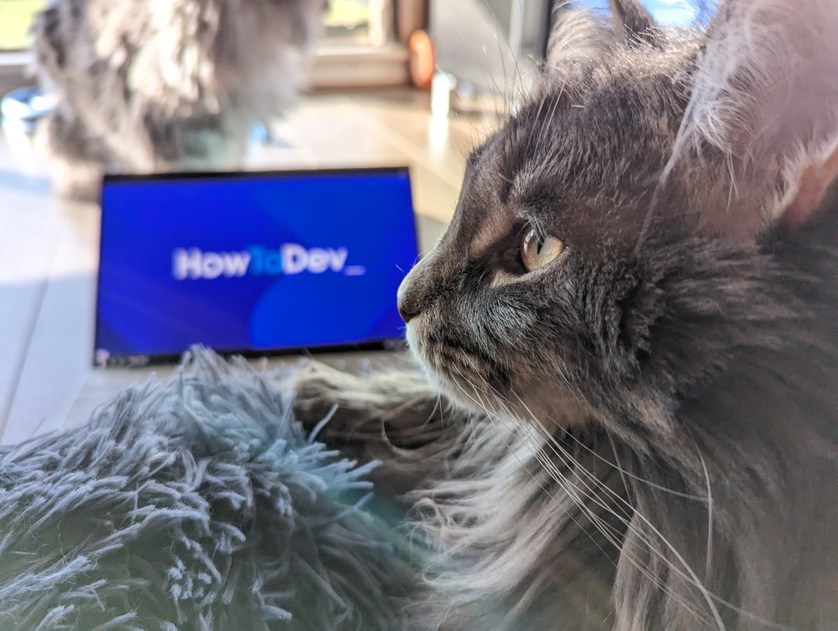 Cindeee83's tweet photo. @stephanwcg Just discovered #HowToDev_ and am super excited to get stuck into it. My cats are too 😂 https://t.co/zZWS8eD3a1