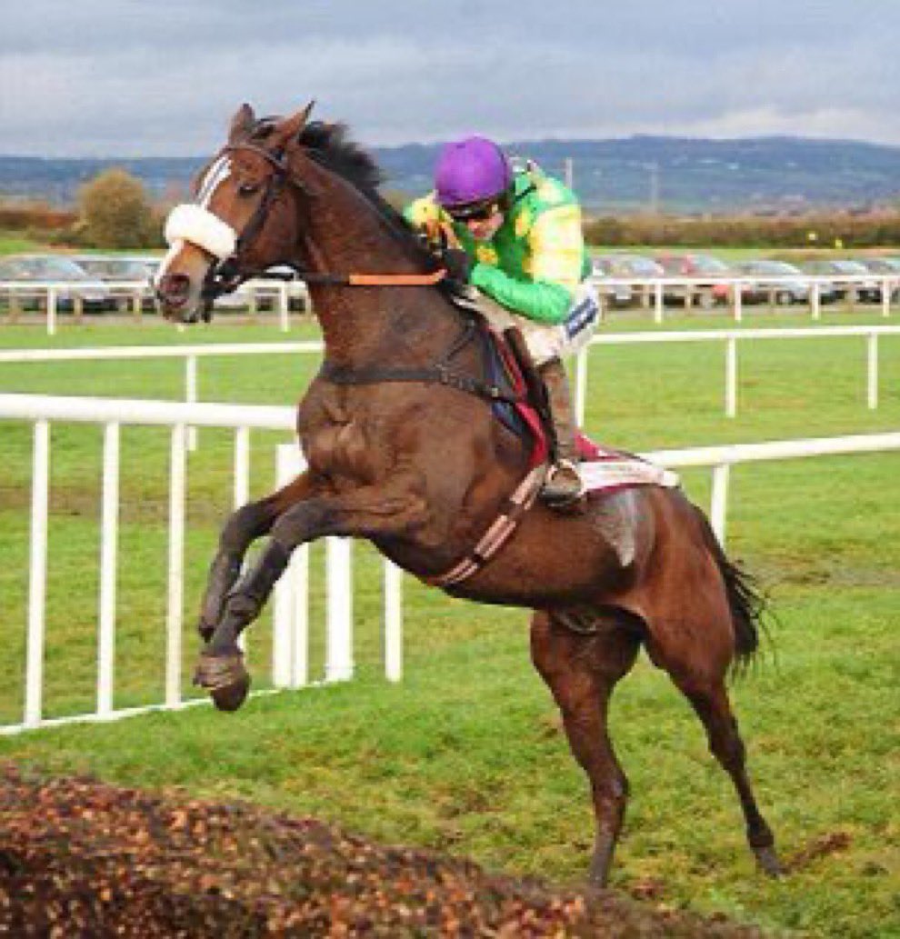 Kauto Star Legend tweet media