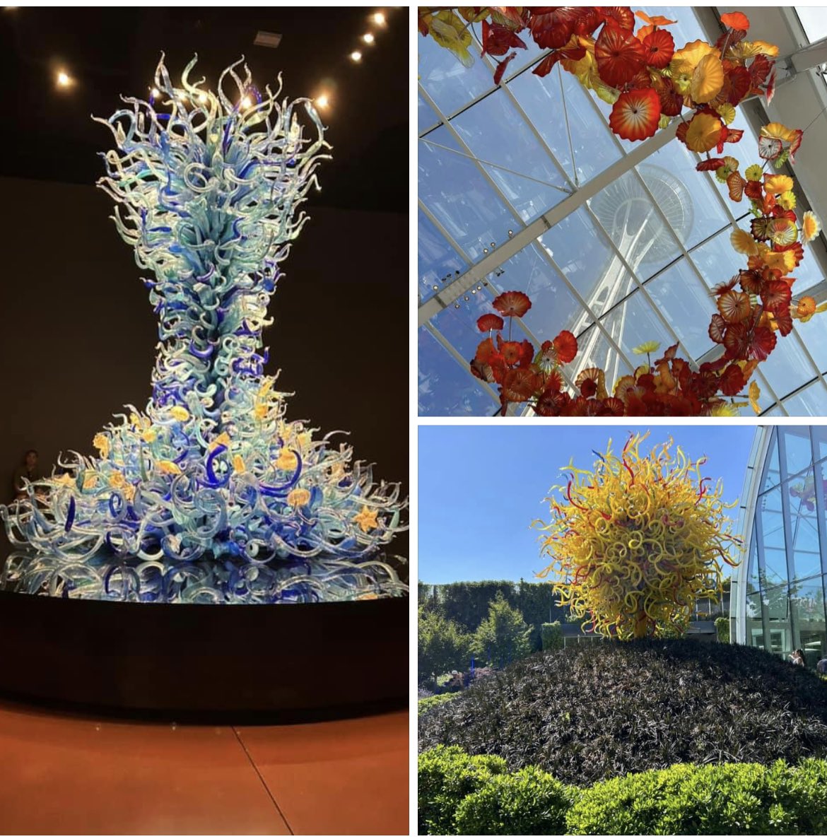 jamesfordtv's tweet image. #PacificNW/@BritishColumbia, #Canada Vacation, Day 5: @ChihulyGG  Museum and @The_SpaceNeedle, Seattle. Loved them both.