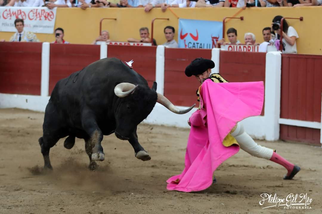 DamianCastao8's tweet photo. Gracias CERET ,paso importante en un puerto de montaña de máximo nivel al toro como es Ceret,seguimos con la temporada #masfuertesquenunca 📷 @PhilippeGilMir https://t.co/9DQkPQUXx2