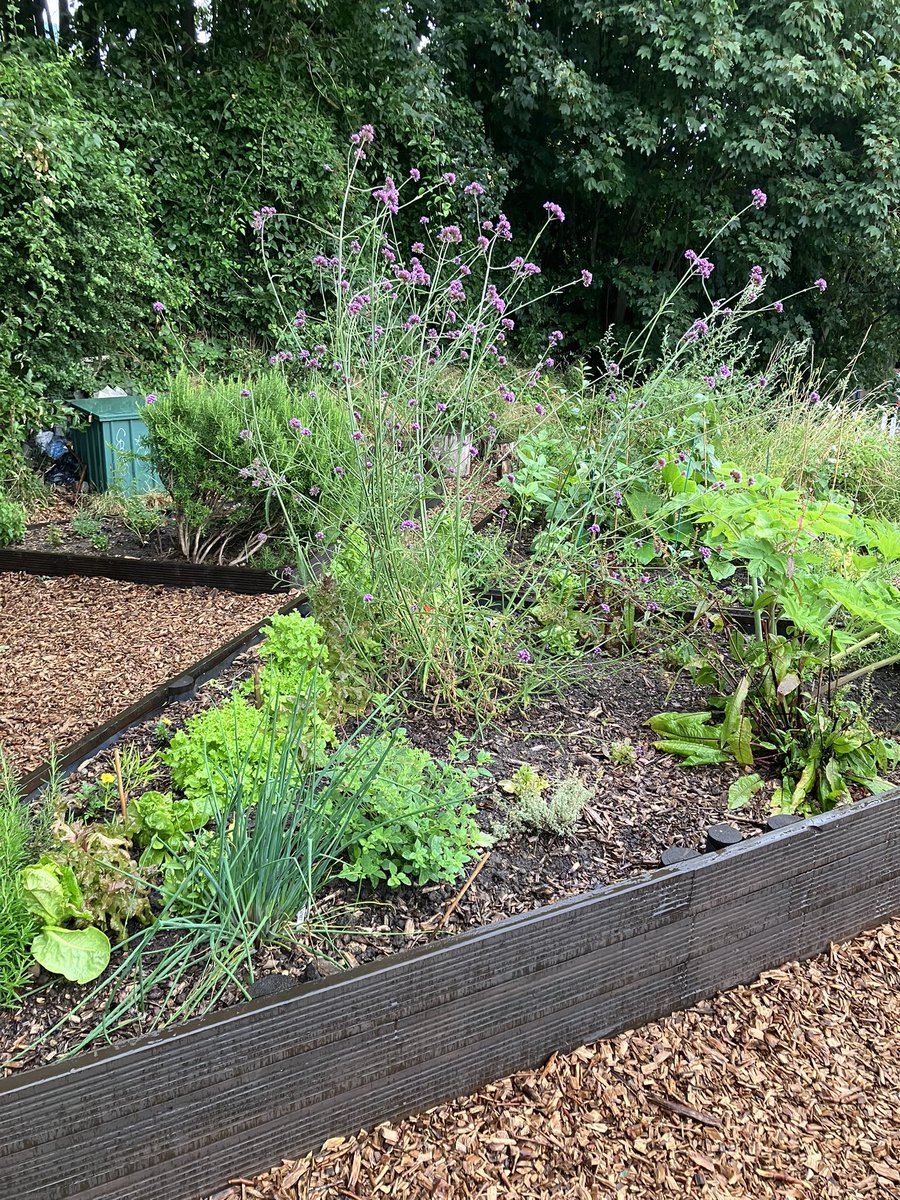 Jane Martin 💙 tweet media