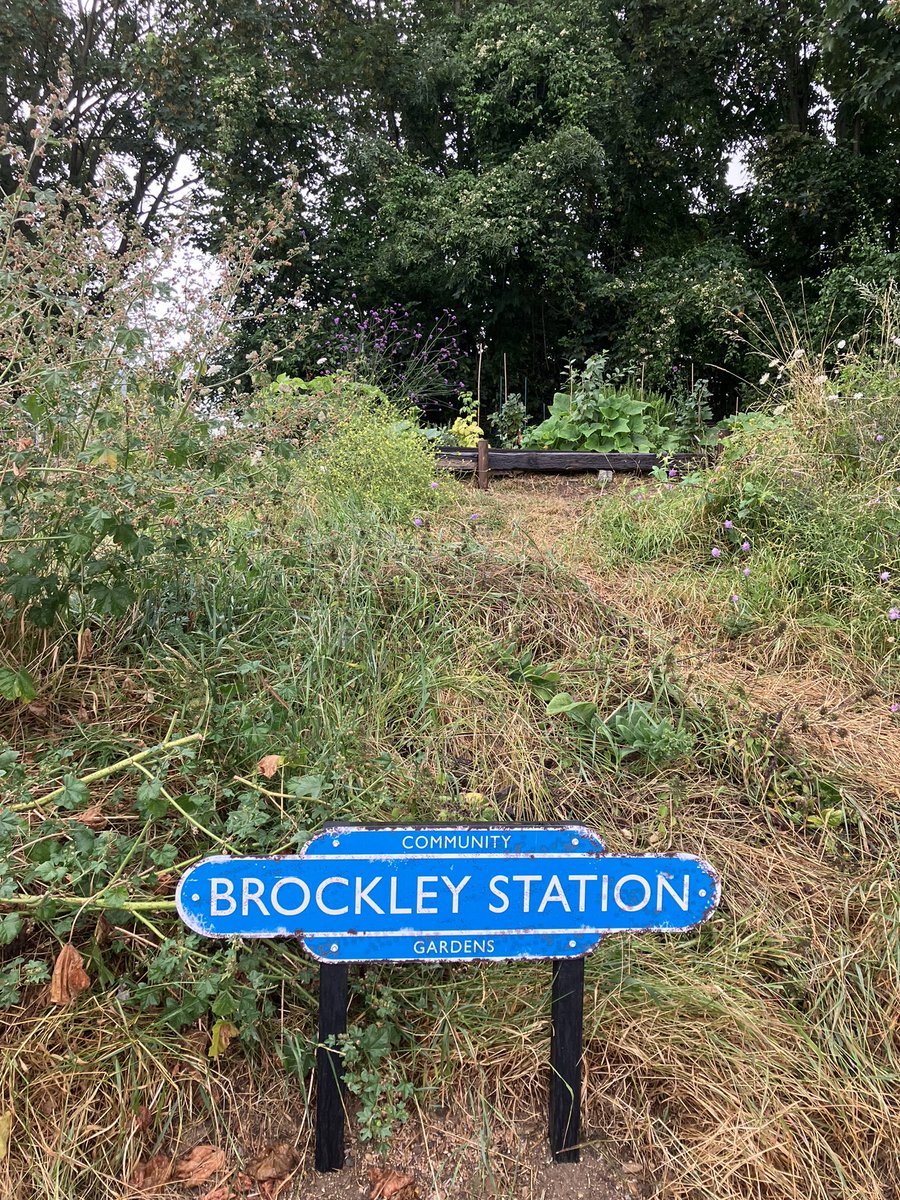 Jane Martin 💙 tweet media