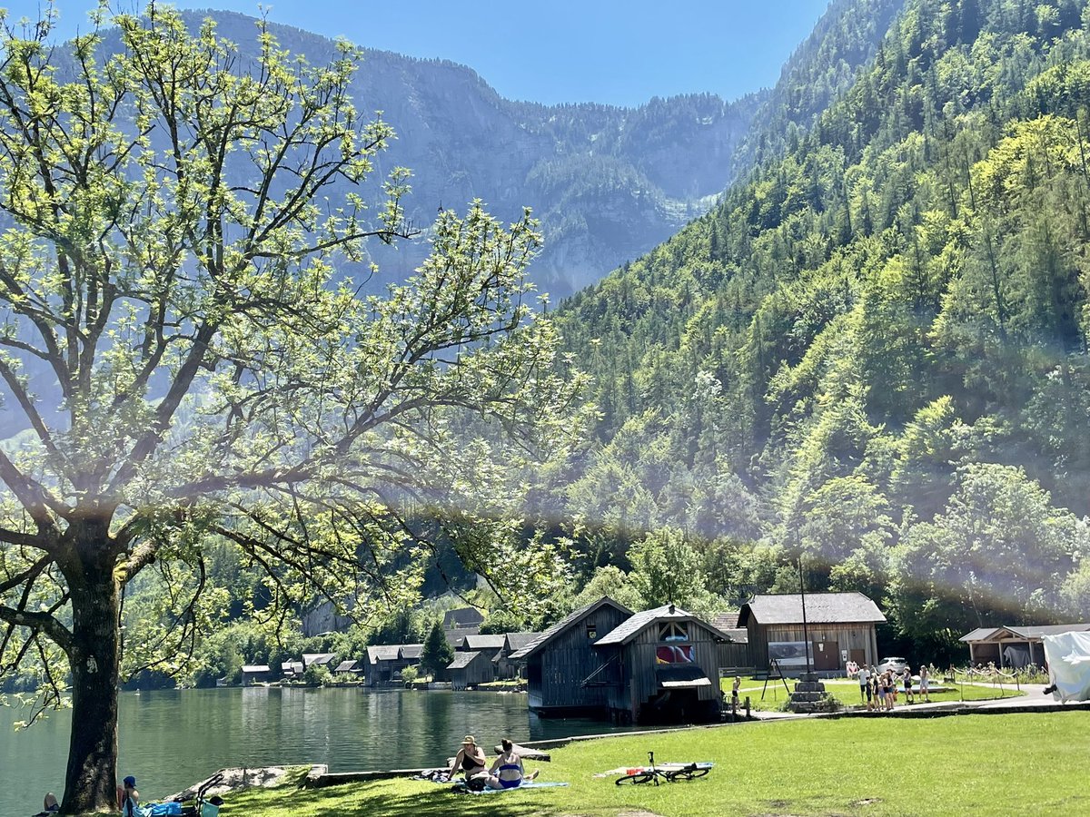 JohanOdell's tweet photo. The Alps during summer! Just want to move here. Amazing sceneries! #Austria #Hallstatt https://t.co/oXFmNdTBIr