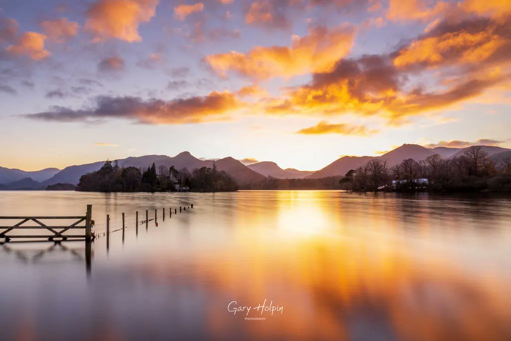 Gary Holpin | Photography tweet media