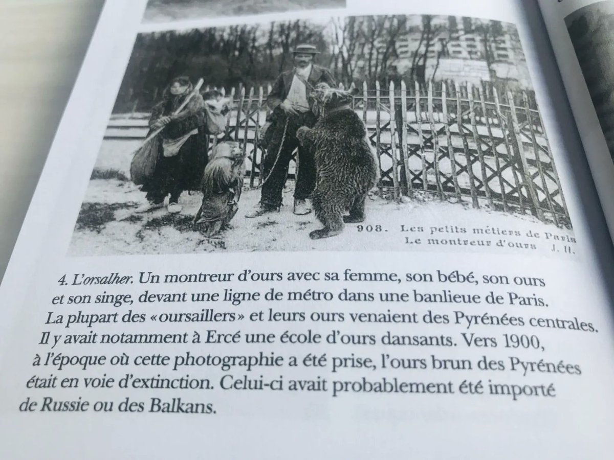 Les 7 lieux (@les7lieux) on Twitter photo Comment concilier sport et culture  👍  Partez à la découverte de la France en compagnie de Graham Robb qui parcouru 22500 km et passa 4 années en bibliothèque pour livrer une histoire buissonnière !
#bayeuxintercom #bayeux Comment concilier sport et culture  👍  Partez à la découverte de la France en compagnie de Graham Robb qui parcouru 22500 km et passa 4 années en bibliothèque pour livrer une histoire buissonnière !
#bayeuxintercom #bayeux