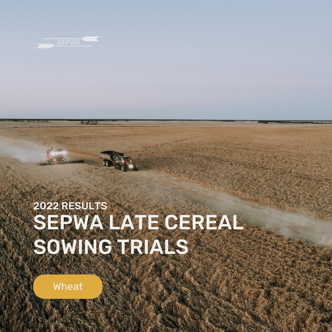 SEPWA_ag's tweet image. Is waterlogging causing issues for you? Look at the outcomes from last year&apos;s GRDC investment into late cereal sowing near Condingup and Munglinup. #WheatSowing #WaterloggingIssues #GRDCInvestment