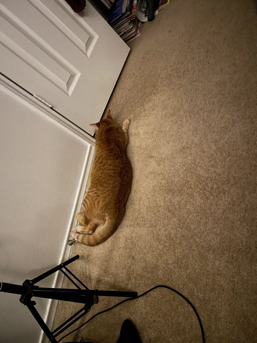 mzashleypie's tweet photo. Phases of mourning mom moving the bed desk https://t.co/ZCOIneyhCI