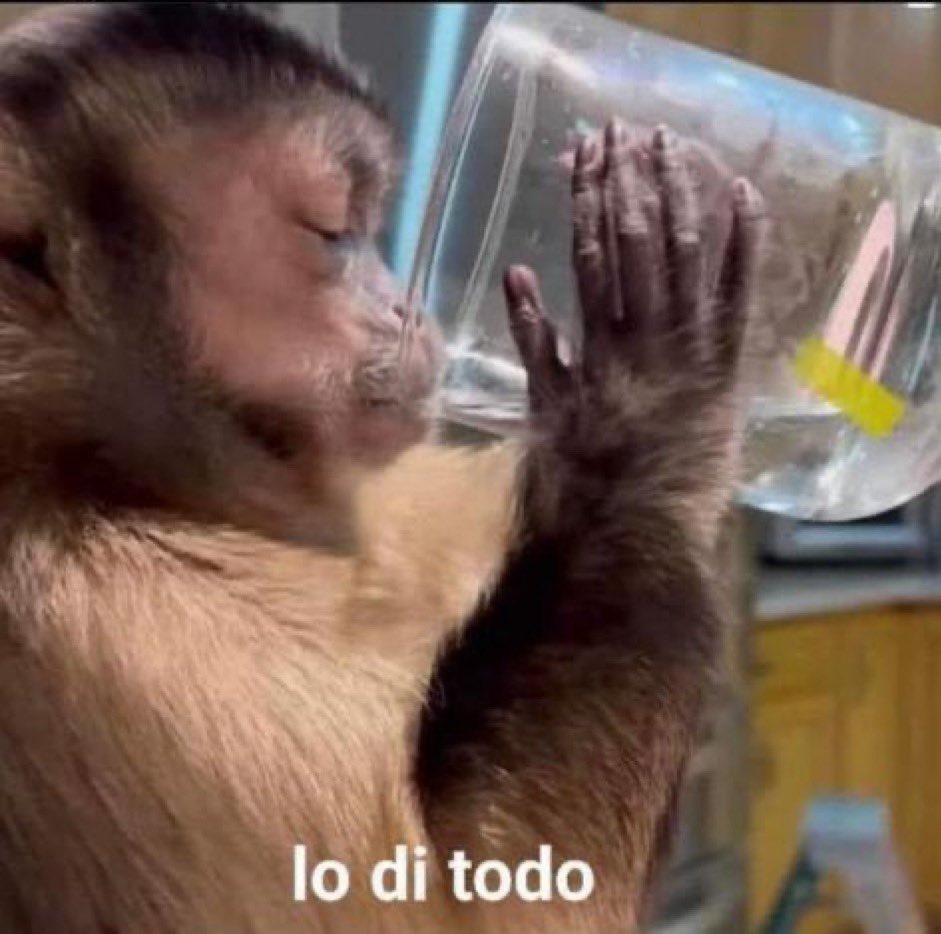 La Dmon 👹 tweet media