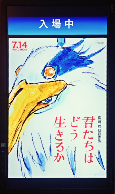 観てきますっ
