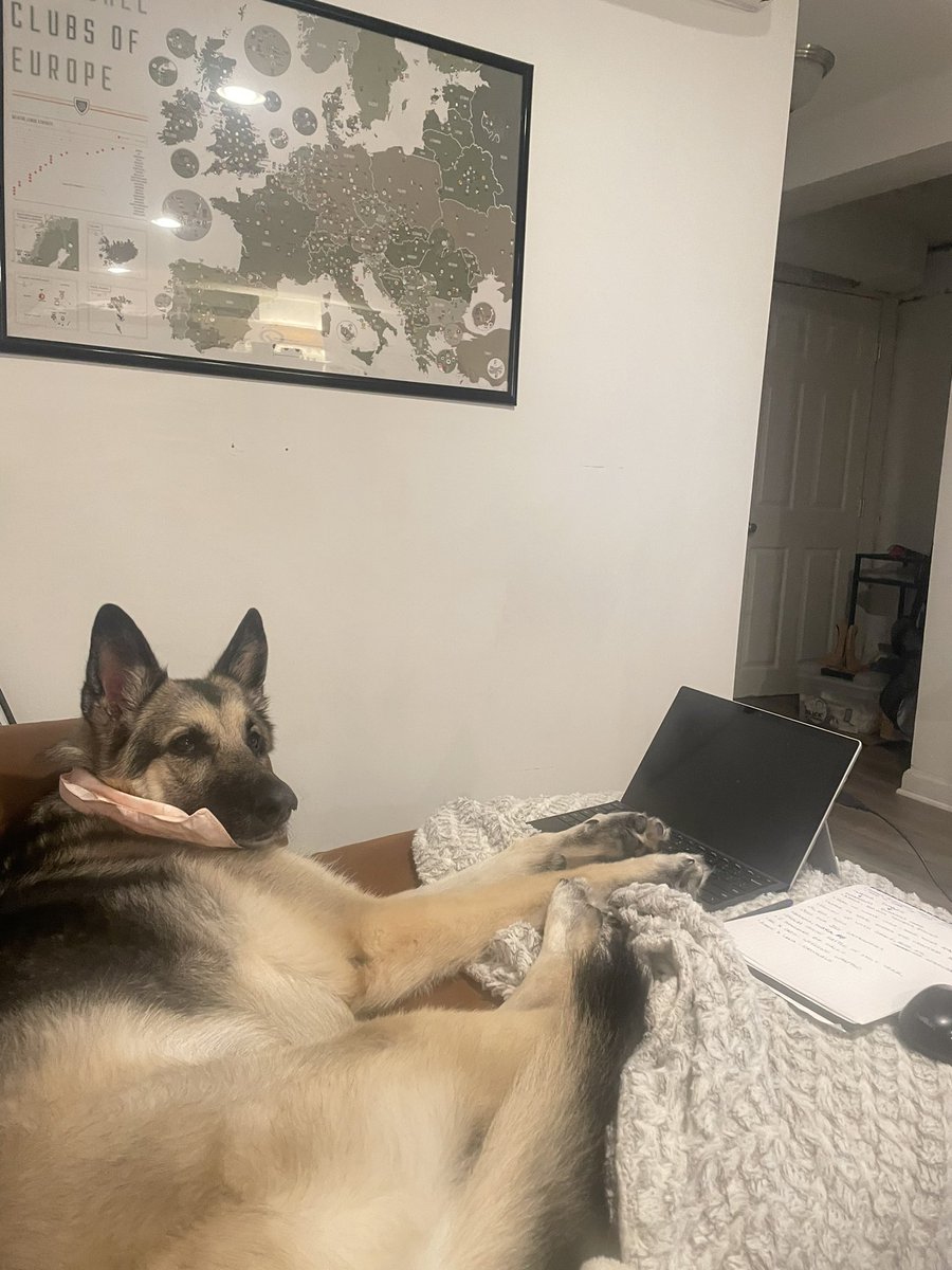 MagicMallory's tweet photo. How your emails are finding me https://t.co/hEUEg4jknd
