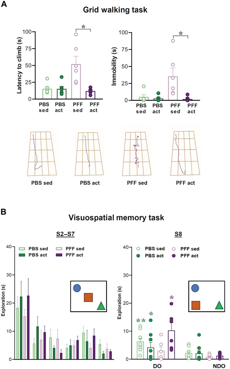 ScienceofPD's tweet photo. Exercise &amp; #Parkinsons: Researchers tested the hypothesis that intensive treadmill training can rescue alterations in striatal plasticity &amp; early motor/cognitive deficits in rodents receiving an intrastriatal injection of alpha-syn preformed fibrils
https://t.co/ueJOsotF25 https://t.co/JPTHN8eyXv