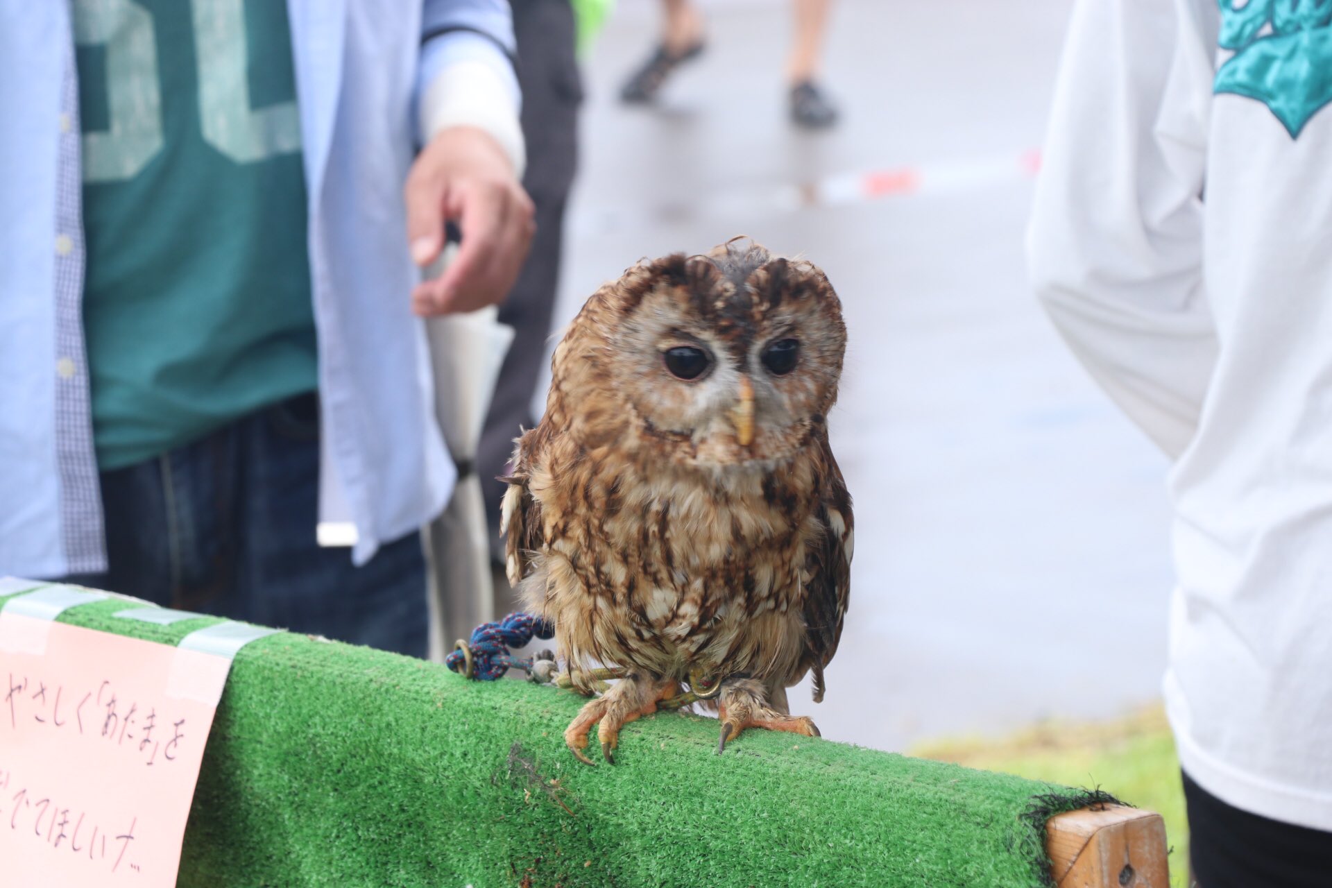 岩手県野田村【公式】 (NODA_Iwate) / Twitter