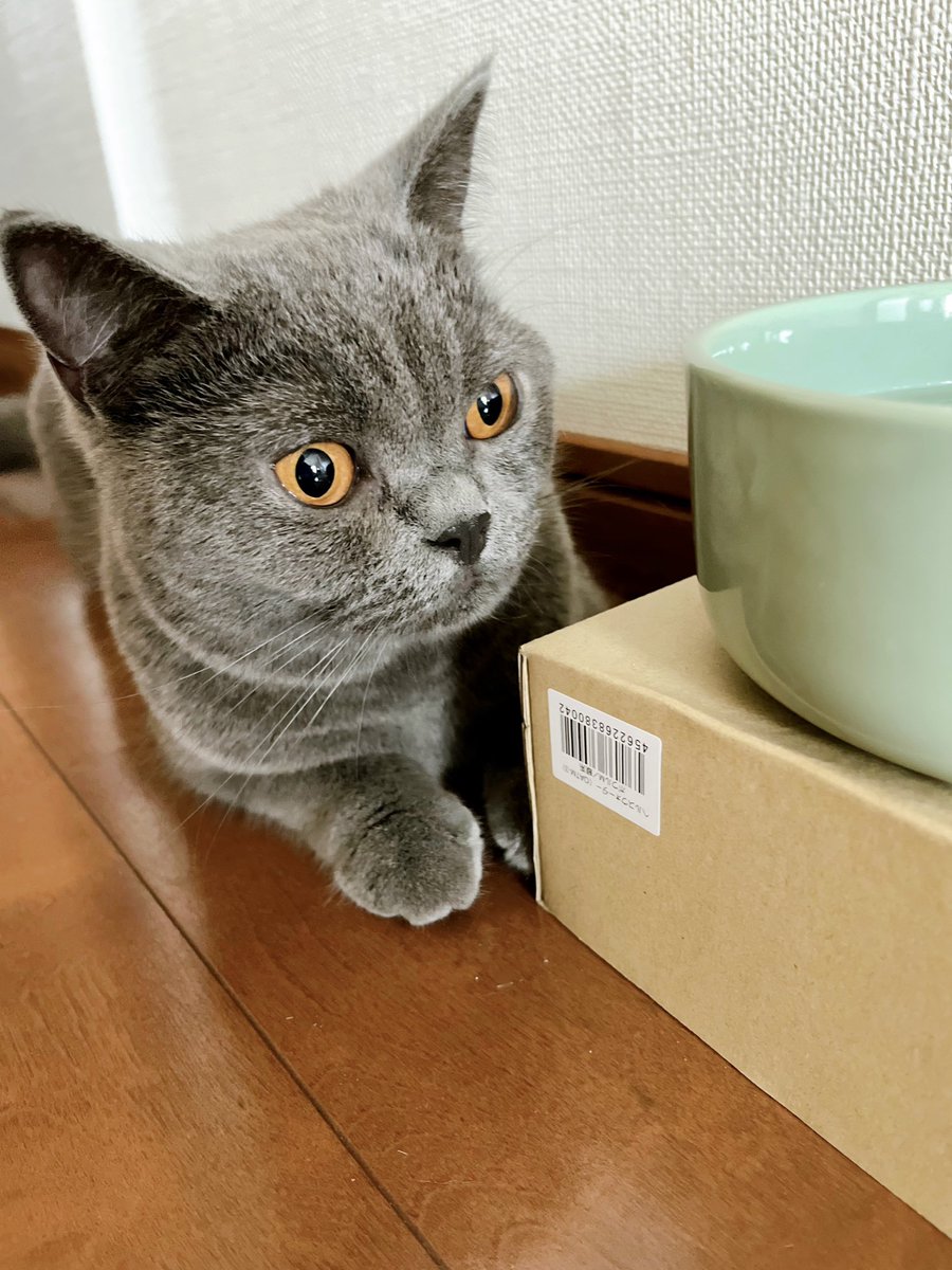 tkmx_FTA's tweet photo. パパとうんどうしたあと
きゅうけいしてるむうちゃん
可愛いから見て😍 https://t.co/8mWPGKomly