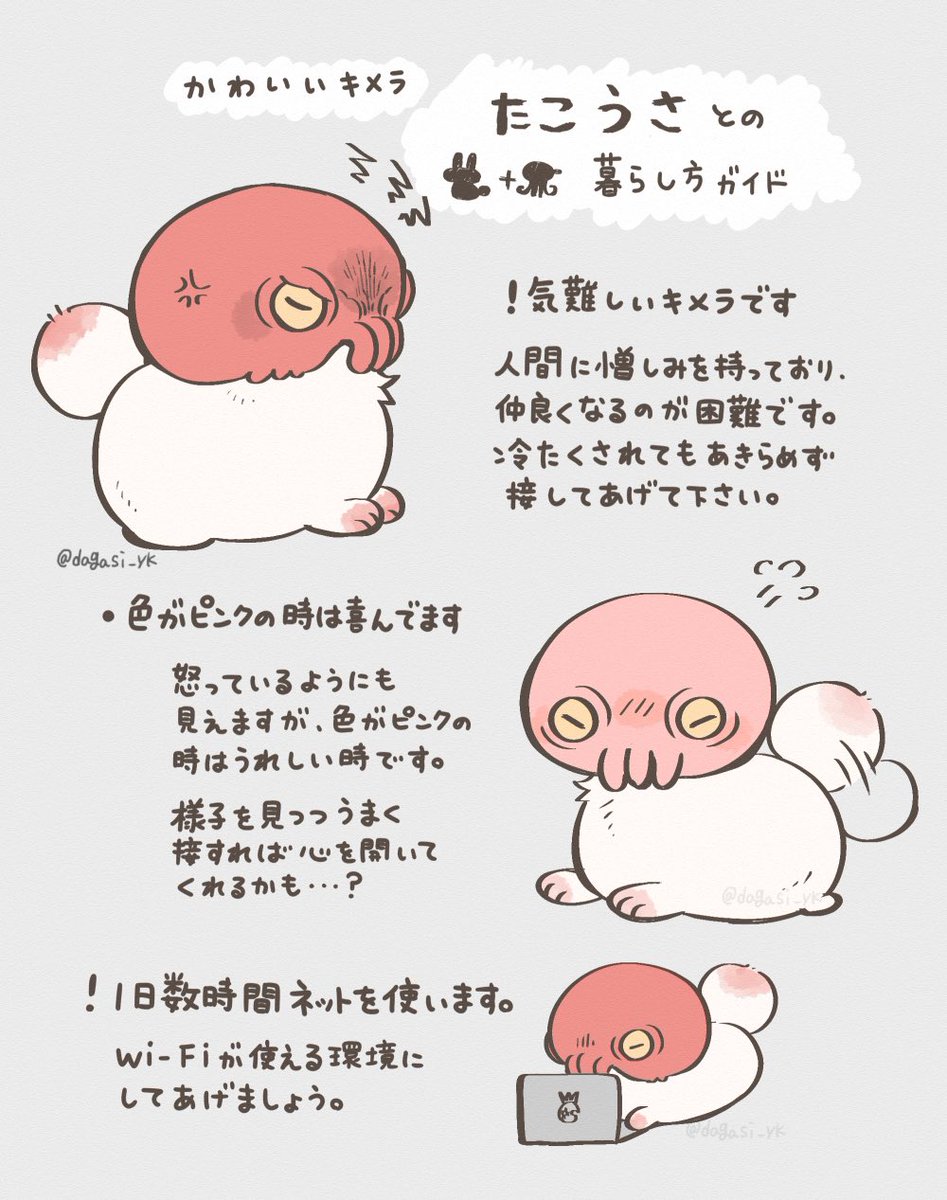 うさたこ、たこうさとの暮らし方