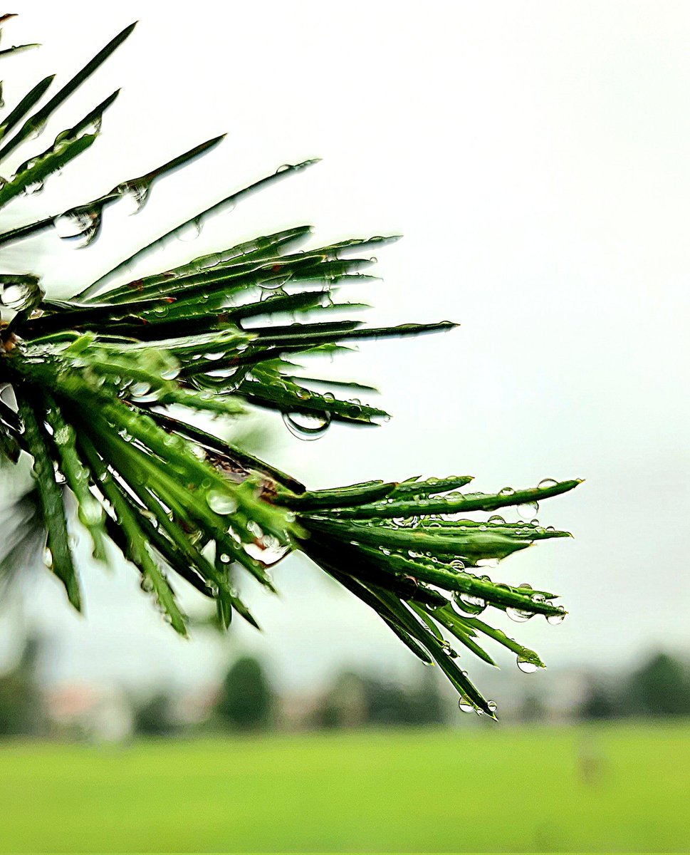 Guten morgen #kishtwar