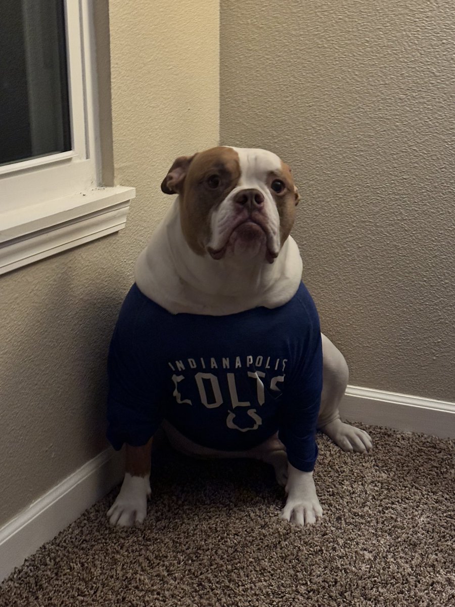 My brothers dog had a cancerous tumor removed yesterday and the vet said to keep it covered up!  We are happy to report that not only is Jax a Colts fan but he is cancer/tumor free!  <a href="/Colts/">Indianapolis Colts</a> <a href="/JimIrsay/">Jim Irsay</a> <a href="/CWinegardner92/">Corey Winegardner</a>