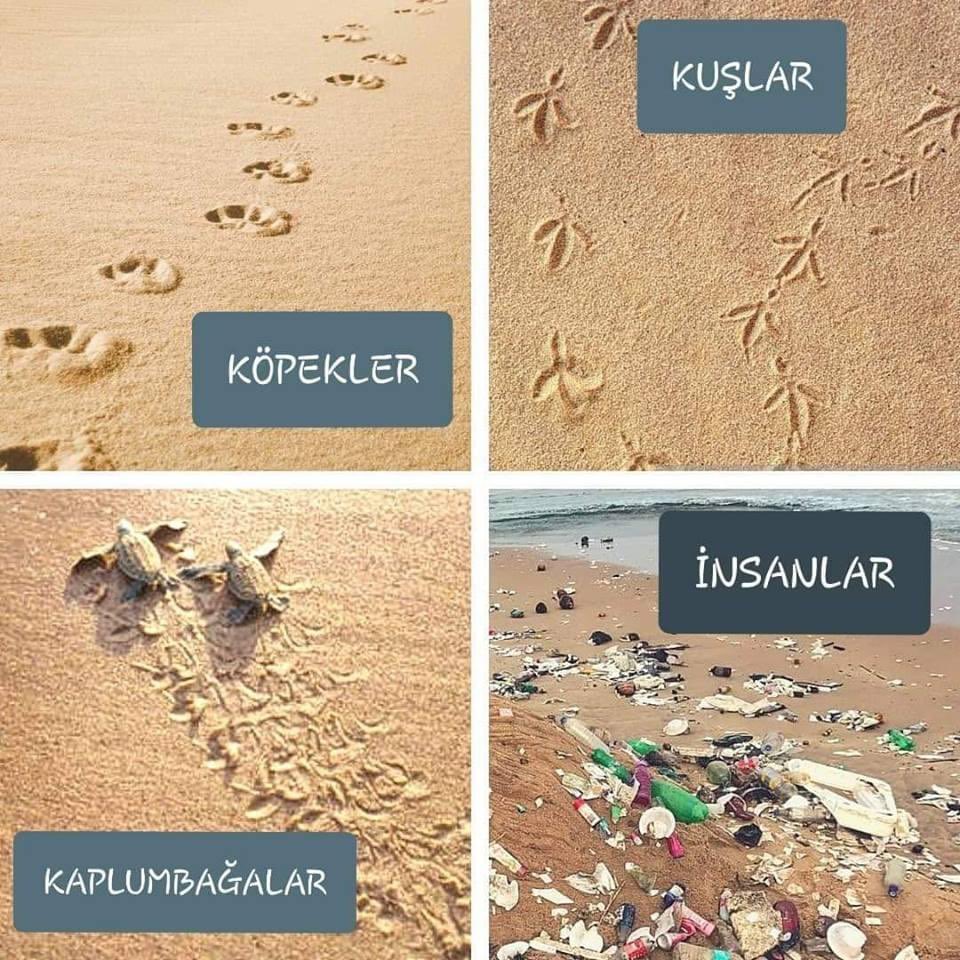 O kadar doğru ki😢😡 Günaydınn🙋‍♀️