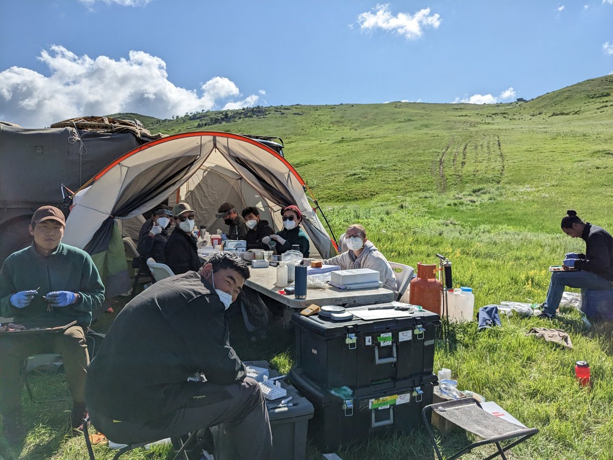 STEPP-NET tweet media