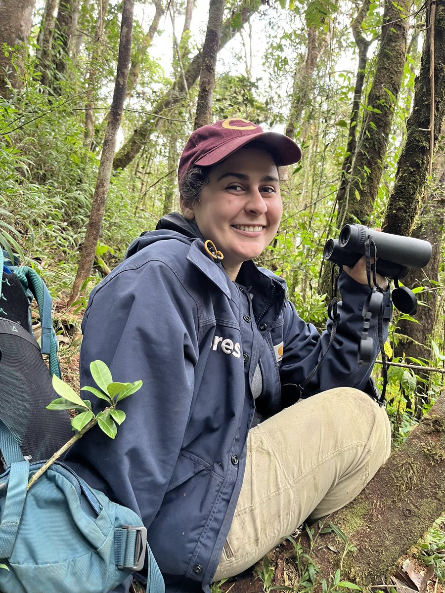 Already on the last excursion of this field season following Propithecus edwardsi, the largest lemur found in Ranomafana National Park! Wish my knees luck!