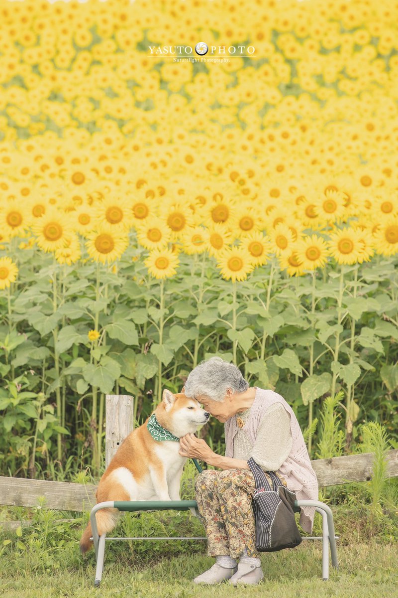 暑い日でしたが、暑さを感じない写真。