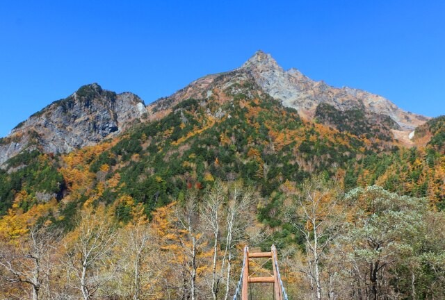 GenericTheif's tweet photo. 【新着壁紙画像 秋の明神橋 1920x1295】上高地 日本の風景 山 秋👏👏👏👏 #wallpaper #Wallpapers #イラスト #SuccessQuote #ArtsAlUla #wallpapermagazine  
Original: kabegamikan https://t.co/DX2a1fRWNO