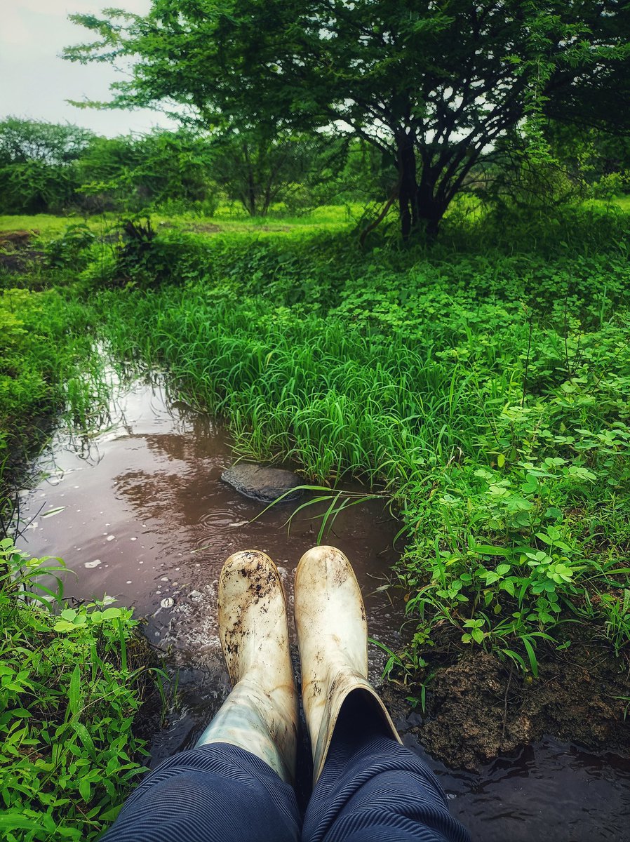 JoinAkhil's tweet photo. 📍 Somewhere in GIR.
#Peace #gir #naturelover https://t.co/57puJ9j3jm
