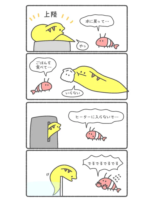 ドキドキハラハラウツボ飼育
