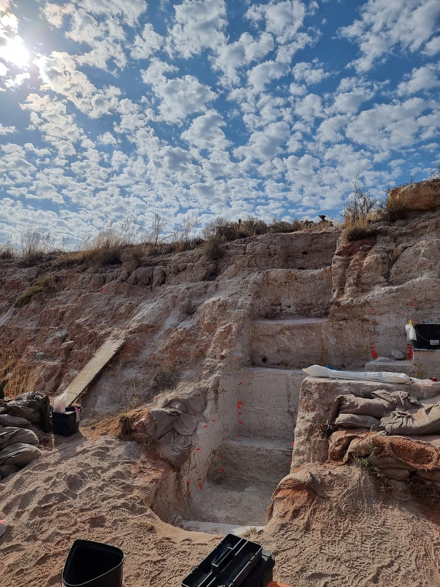 Sometimes it's nice to look up from excavating and see the vast southern kalahari sky at @tswalu!