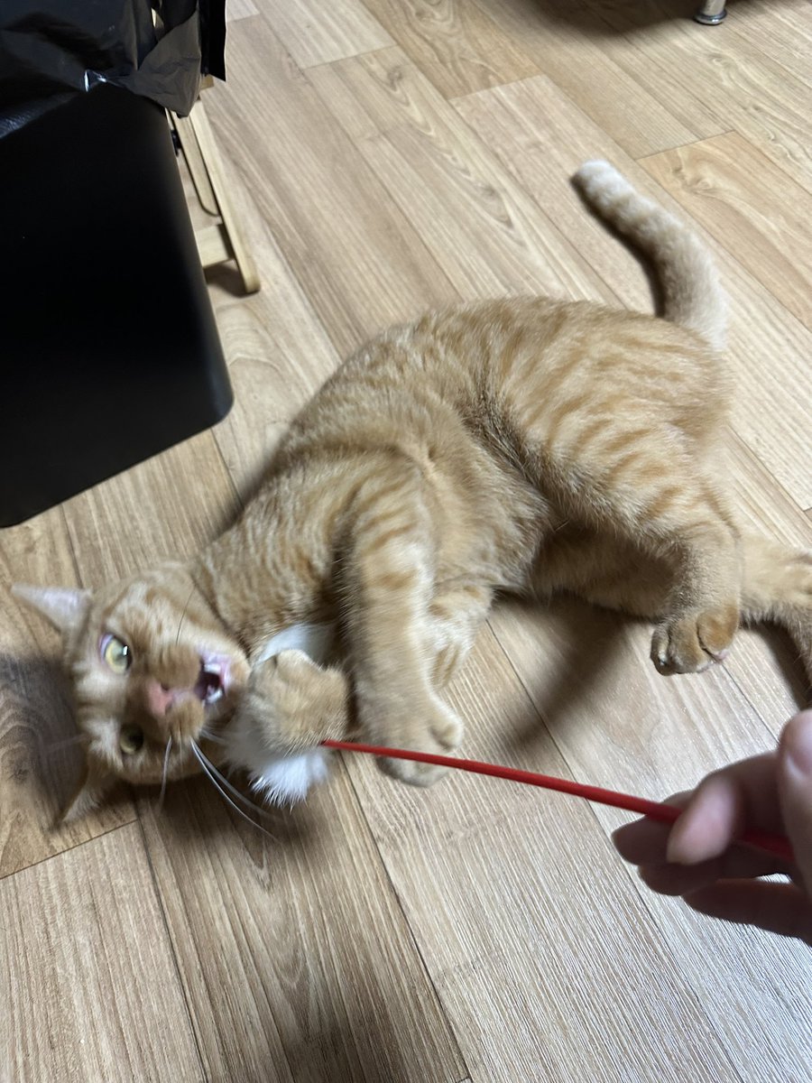 이게 그렇게 좋아?