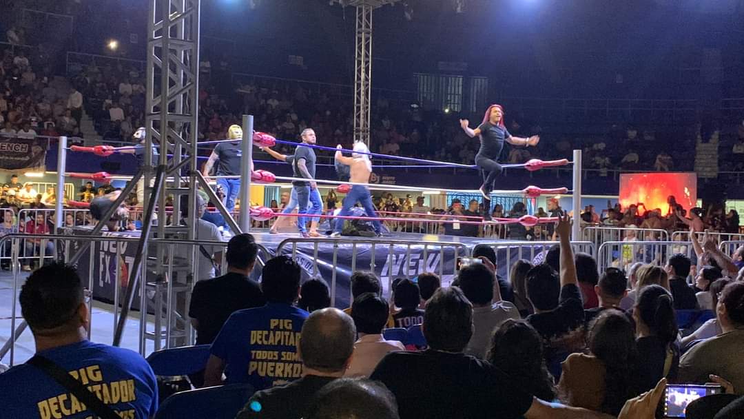 LaTijeraLucha's tweet photo. La noche en el #GimnasioJuanDeLaBarrera se empieza a tornar oscura en el ring de #NewExotic, con un triunfo sorpresivo de #AlasDeOro, #AlasDePlata y #Voltio #MochoCotaJr, #BelicoI y #BelicoII y no fue la única sorpresa, ya que llegan los elementos de #TheWolfKing, lidereados... https://t.co/duT28hNvCj