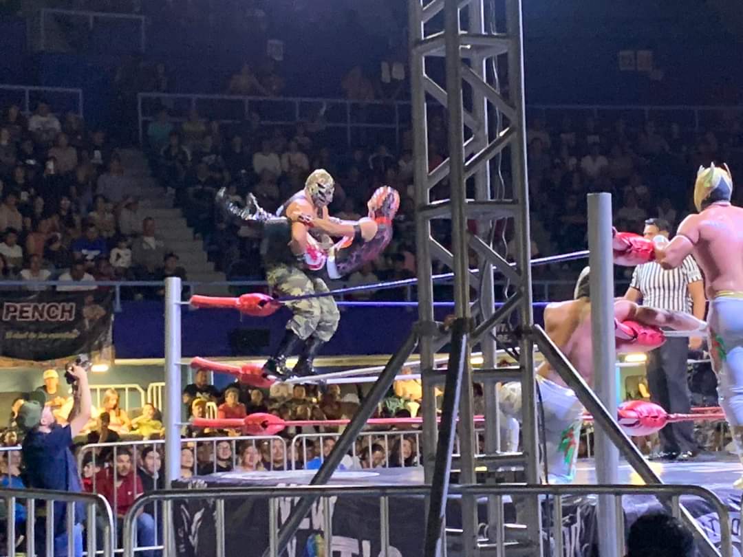 LaTijeraLucha's tweet photo. La noche en el #GimnasioJuanDeLaBarrera se empieza a tornar oscura en el ring de #NewExotic, con un triunfo sorpresivo de #AlasDeOro, #AlasDePlata y #Voltio #MochoCotaJr, #BelicoI y #BelicoII y no fue la única sorpresa, ya que llegan los elementos de #TheWolfKing, lidereados... https://t.co/duT28hNvCj
