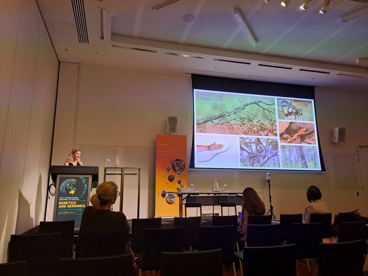 Katarina Stuart (@katarina_stuart) on Twitter photo <a href="/SoleilleM/">Soleille Miller</a> making a case for more population genomics on native stick and leaf insects. More love needed for Australia's colourful critters. #ICG2023 #biodiversity #genomics <a href="/Genetics2023/">International Congress of Genetics 2023</a> <a href="/SoleilleM/">Soleille Miller</a> making a case for more population genomics on native stick and leaf insects. More love needed for Australia's colourful critters. #ICG2023 #biodiversity #genomics <a href="/Genetics2023/">International Congress of Genetics 2023</a>
