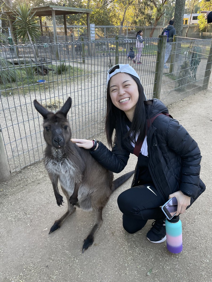 Erin Lin tweet media