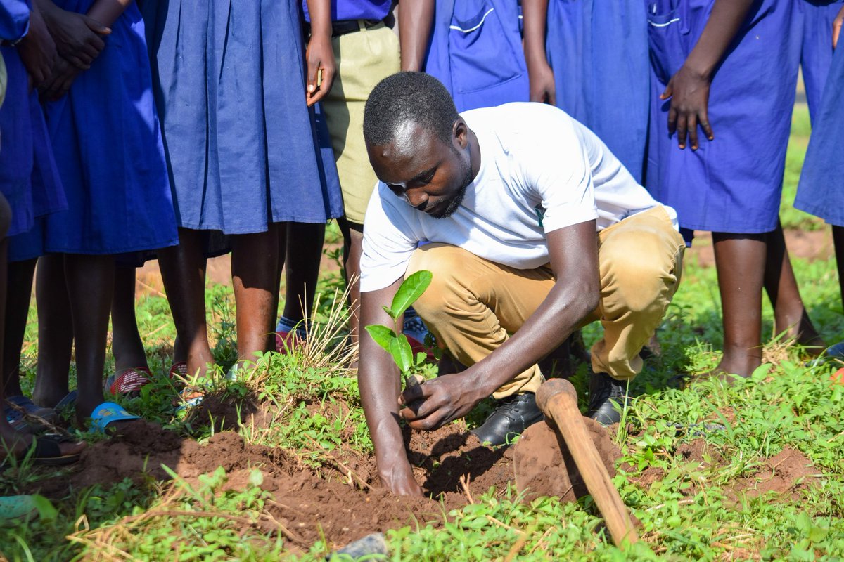 Plant a tree this Sunday. It won't cost you anything. Blessed Sunday.