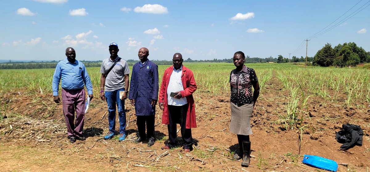 ERECWeedScience's tweet photo. Nzoia Sugar 🇰🇪  Agronomy and Extension group https://t.co/pUwK7LAOrU