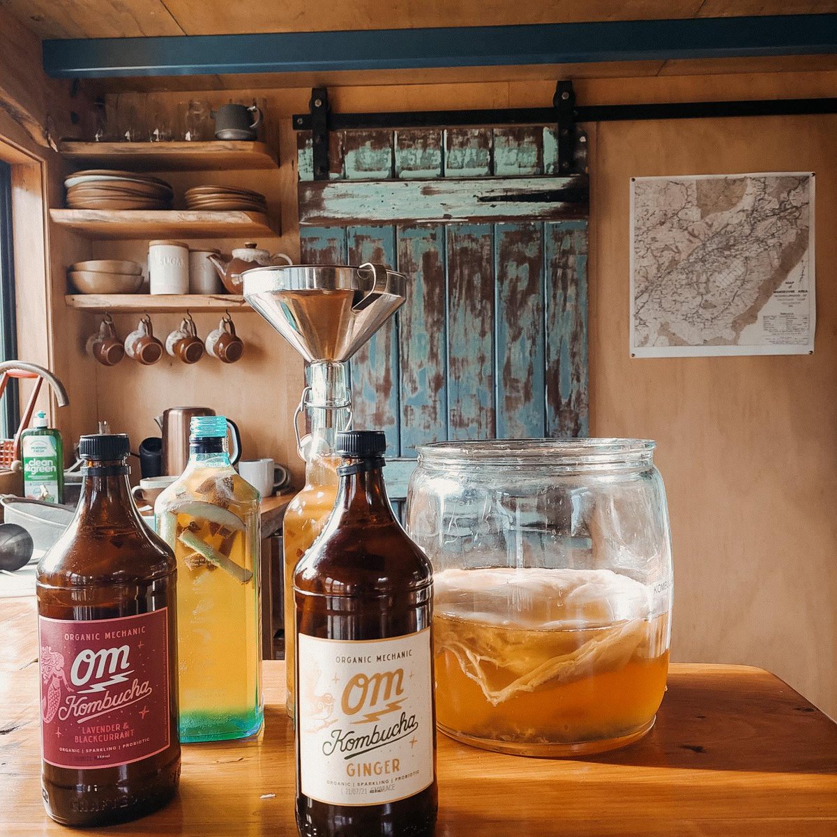 Organic Mechanic tweet media