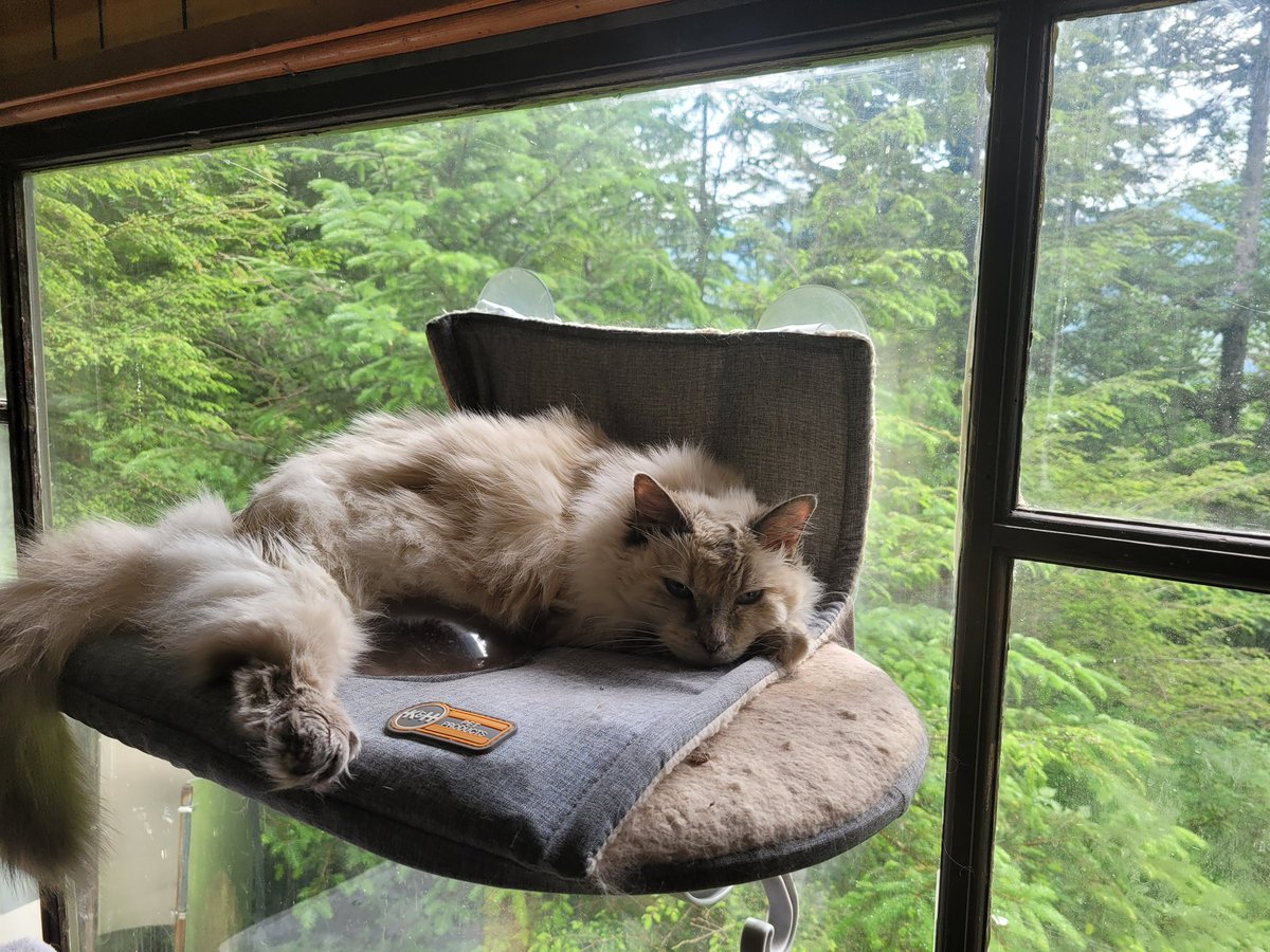 FrozenBiologist's tweet photo. I’m missing #IMC13 where I was supposed to present some of the camera work I’ve been working on. BUT I uploaded my presentation virtually and it’s on demand. Check it out while I take care of this beast that we’re giving hospice care to. https://t.co/WJmP1E1J8d