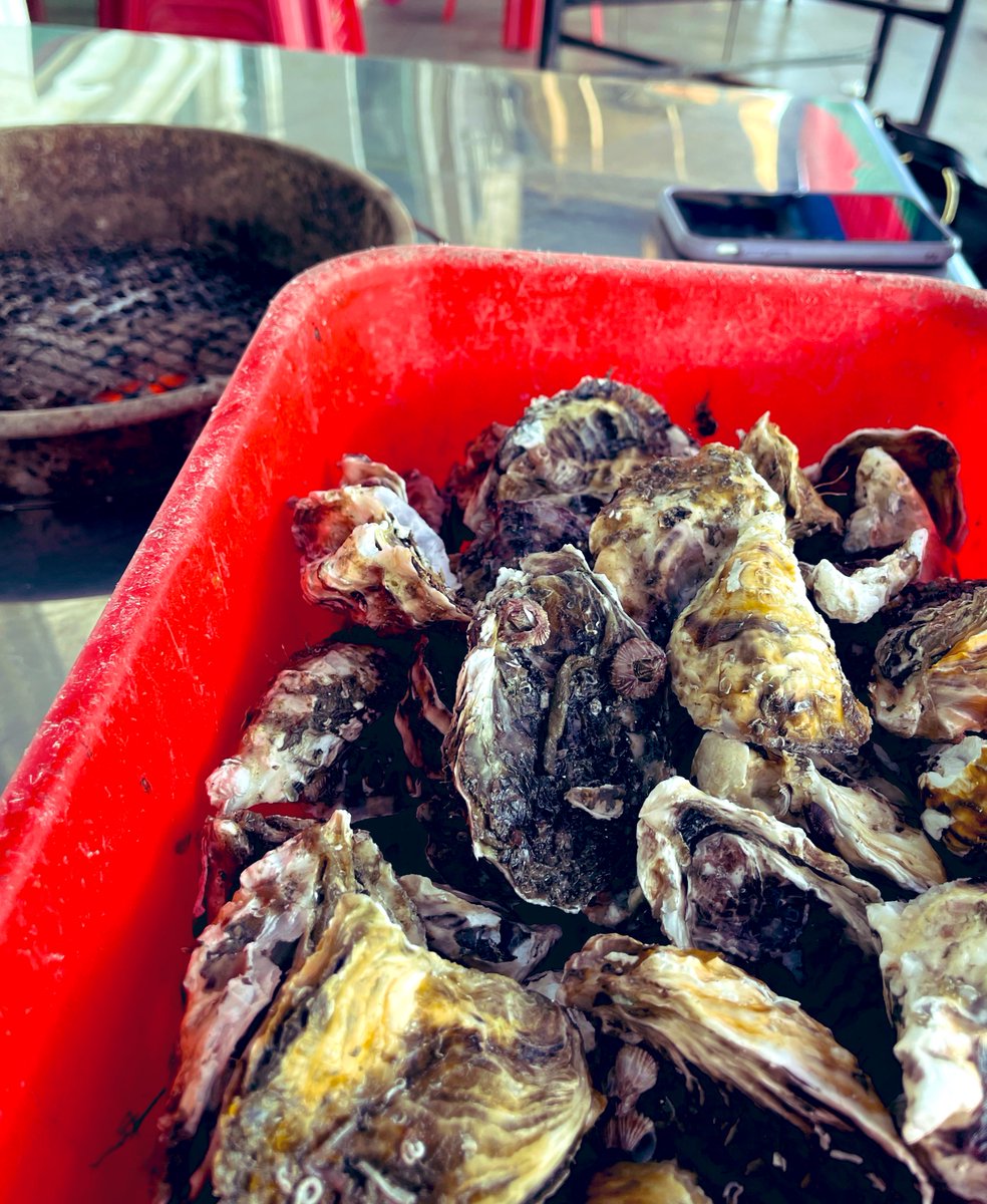 Oyster feast today!😏 #SomethingDifferent