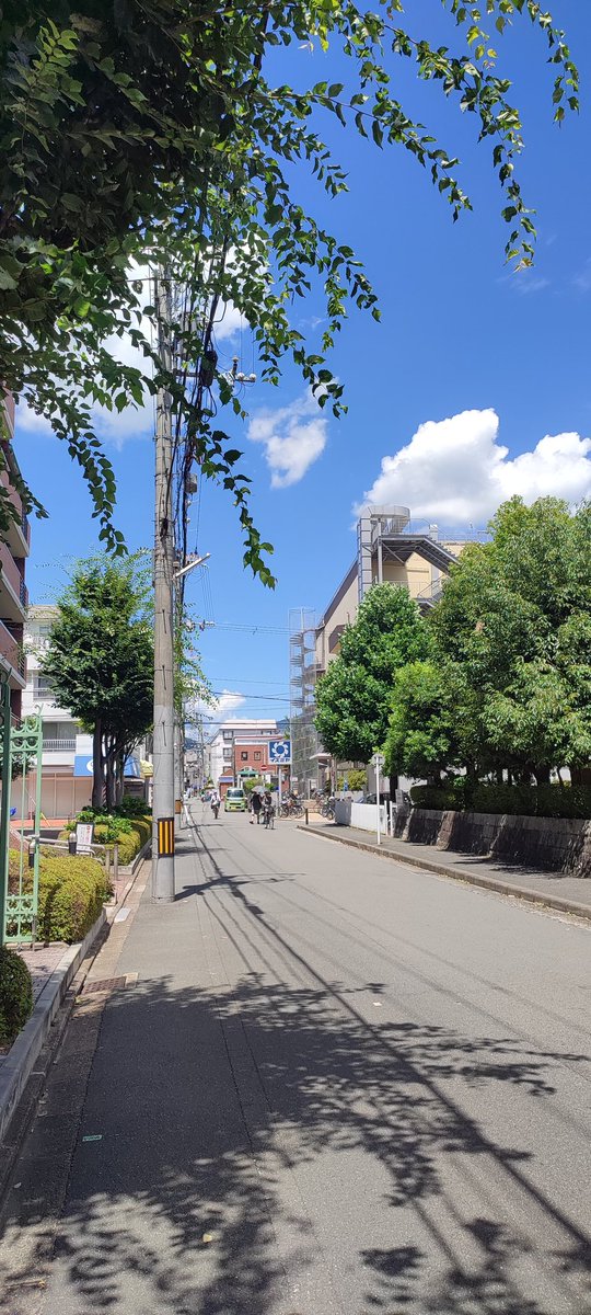KyouPT's tweet photo. 雨上がり☀️
暑すぎ...
#京都 #kyoto #Japan https://t.co/1lyxGsOlai