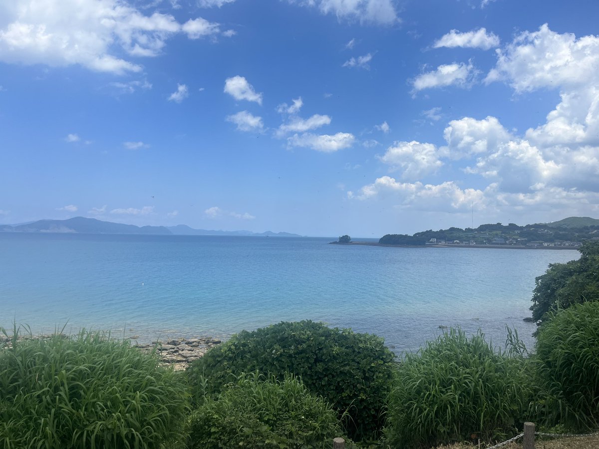 gen_Praxis's tweet photo. 夏だなあ https://t.co/d83Zw4KGBC