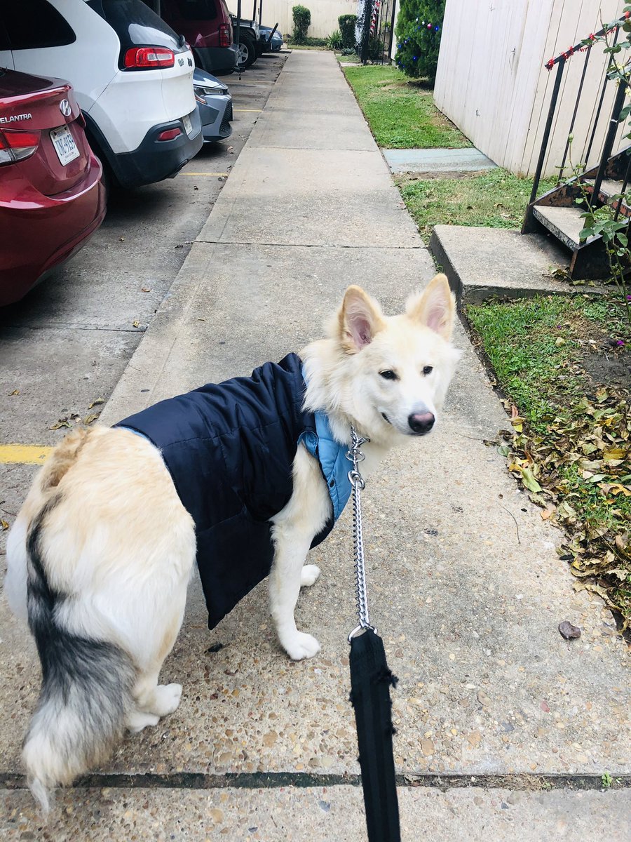 Kaiserdpup's tweet photo. https://t.co/VWomCDQOfF